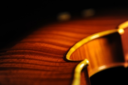 �C�^���A �o�C�I���� �f�B�r�A�b�W�� LABO