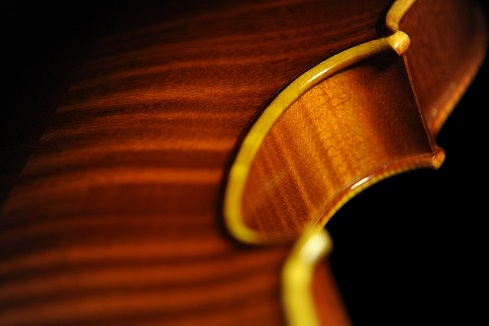 �C�^���A �o�C�I���� �f�B�r�A�b�W�� LABO