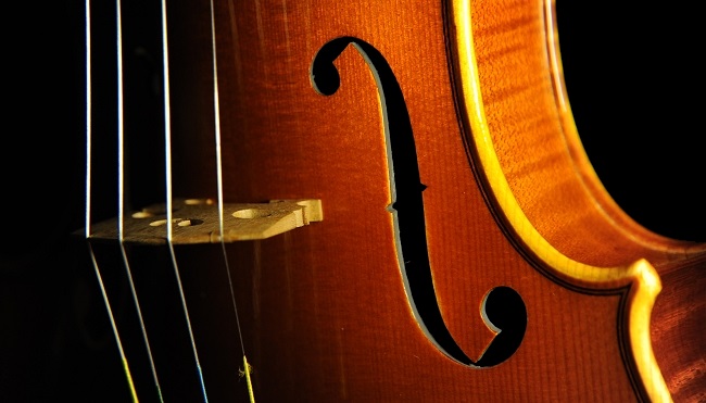 �o�C�I���� �C�^���A �f�B�r�A�b�W�� �H�[