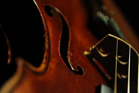 �o�C�I���� ���F���Q�[���t �}�W�R MAGICO