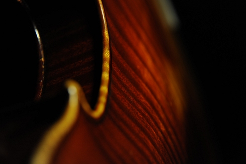 �o�C�I���� ���F���Q�[���t �}�W�R MAGICO