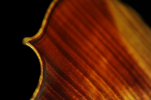 �o�C�I���� ���F���Q�[���t �}�W�R MAGICO