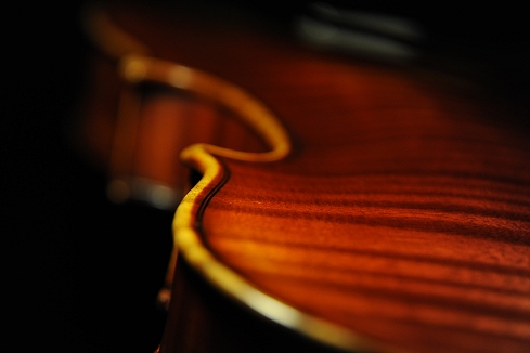 �o�C�I���� ���F���Q�[���t �}�W�R MAGICO