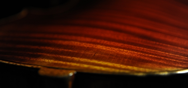 �o�C�I���� ���F���Q�[���t �}�W�R MAGICO