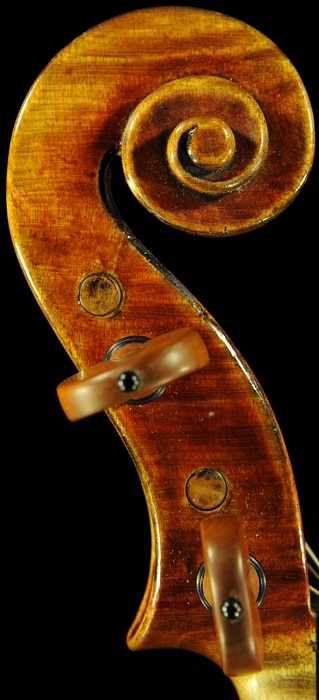 �o�C�I���� �t�����X �K���x�� �p�� ���F���Q�[���t