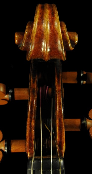 �o�C�I���� �t�����X �K���x�� �p�� ���F���Q�[���t