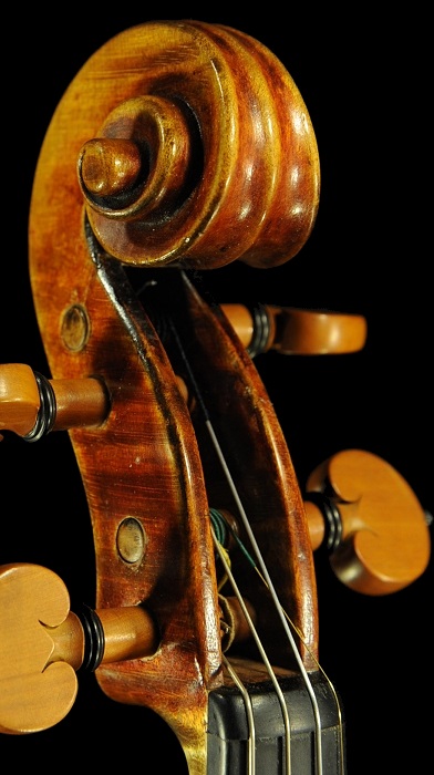 �o�C�I���� �t�����X �K���x�� �p�� ���F���Q�[���t