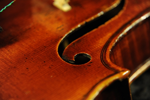 �o�C�I���� �t�����X �K���x�� �p�� ���F���Q�[���t