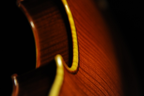 �o�C�I���� �C�^���A �f�B�r�A�b�W�� �H�[