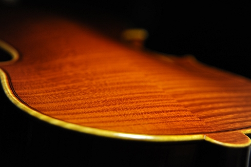 �C�^���A �o�C�I���� �f�B�r�A�b�W�� LABO