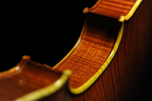 �o�C�I���� �C�^���A ���t�@�G���H�[ ��������