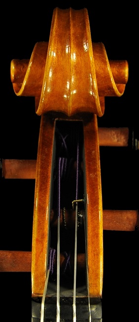 �o�C�I���� �C�^���A �f�B�r�A�b�W�� �H�[