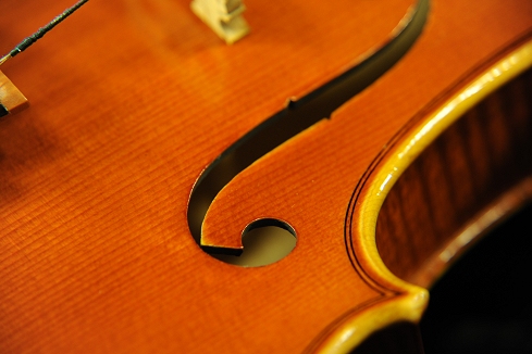 �o�C�I���� �C�^���A �f�B�r�A�b�W�� �H�[