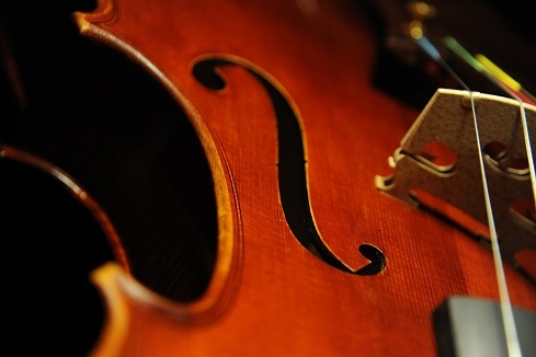 Mario Gadda Viola 1984 ITALY MAGICO