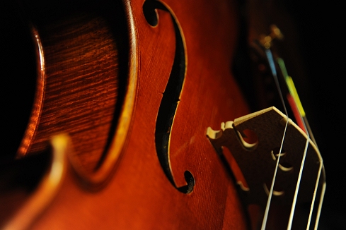 Mario Gadda Viola 1984 ITALY MAGICO