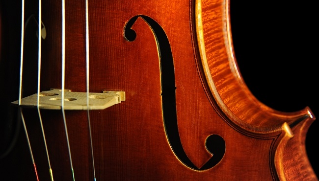 Mario Gadda Viola 1984 ITALY MAGICO