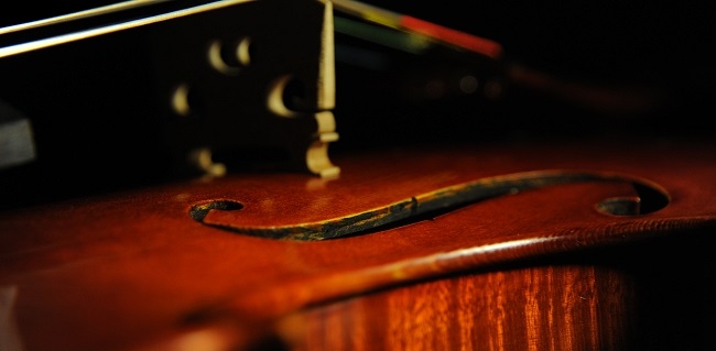 Mario Gadda Viola 1984 ITALY MAGICO