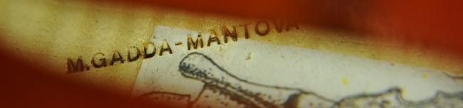 Mario Gadda Viola 1984 ITALY MAGICO