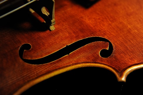 �y�����b�e�B �o�C�I���� �N�����i �C�^���A �}�W�R