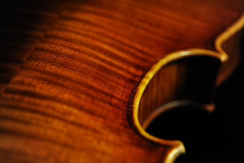 �y�����b�e�B �o�C�I���� �N�����i �C�^���A �}�W�R