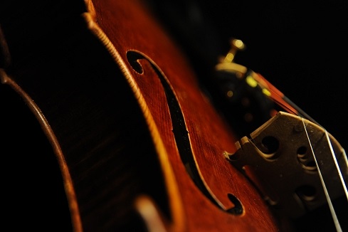 Perletti Violin Cremona ITALY MAGICO