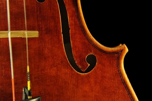 �y�����b�e�B �o�C�I���� �N�����i �C�^���A �}�W�R