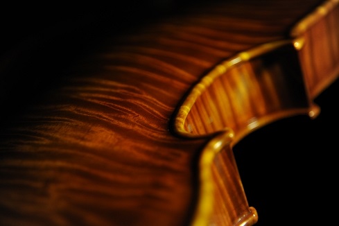 �o�C�I���� �}�W�R Di Biagio