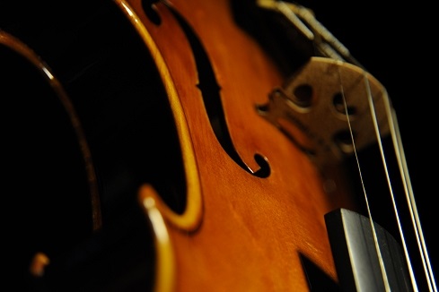 �f�B�r�A�b�W�� ���t�@�G�� �o�C�I���� �}�W�R