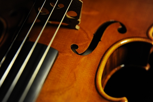 �o�C�I���� �}�W�R Di Biagio