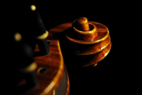 �f�B�r�A�b�W�� ���t�@�G�� �o�C�I���� �}�W�R