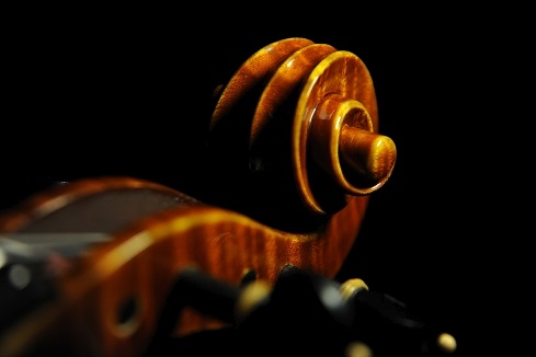 �o�C�I���� �}�W�R Di Biagio