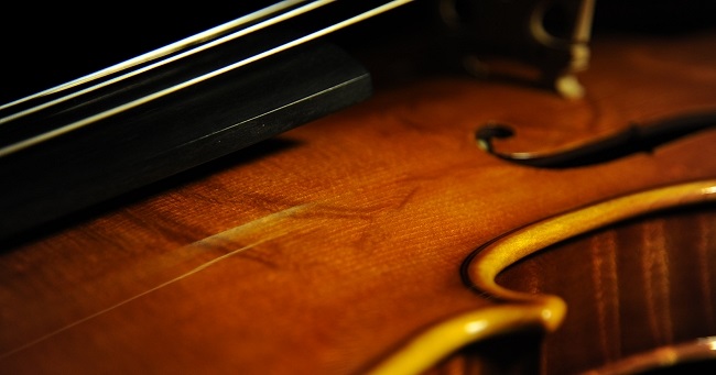 �f�B�r�A�b�W�� ���t�@�G�� �o�C�I���� �}�W�R