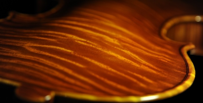 �o�C�I���� �}�W�R Di Biagio