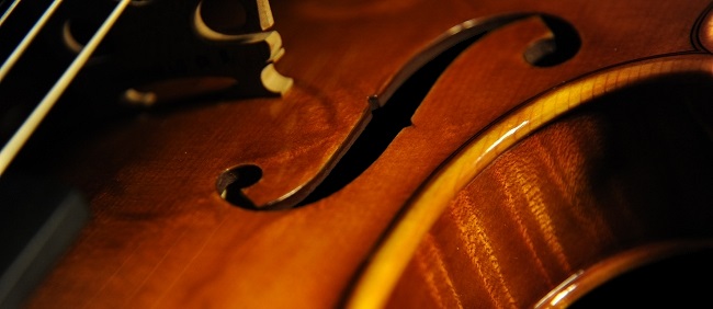 �f�B�r�A�b�W�� ���t�@�G�� �o�C�I���� �}�W�R