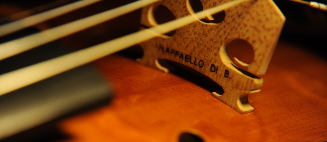 �o�C�I���� �}�W�R Di Biagio