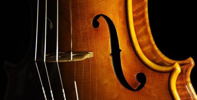 �f�B�r�A�b�W�� ���t�@�G�� �o�C�I���� �}�W�R