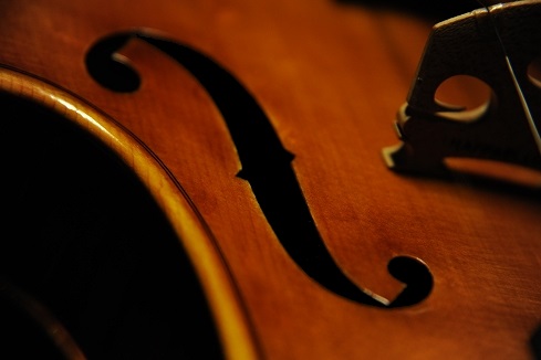 �f�B�r�A�b�W�� ���t�@�G�� �o�C�I���� �}�W�R