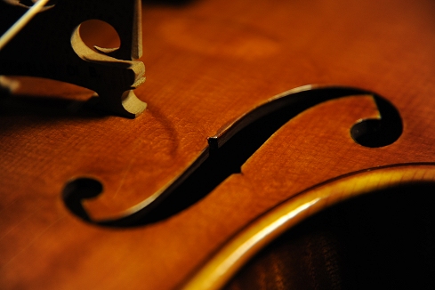 �o�C�I���� �}�W�R Di Biagio