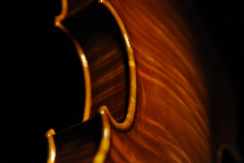 �f�B�r�A�b�W�� ���t�@�G�� �o�C�I���� �}�W�R