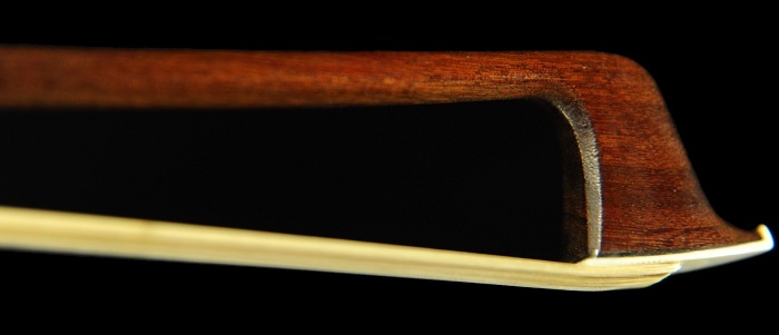 ���B�l���� �| �o�C�I���� �t�����`