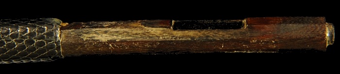 ���B�l���� �| �o�C�I���� �t�����`