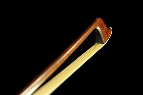 ���B�l���� �| �o�C�I���� �t�����`