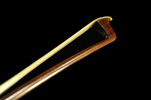 ���B�l���� �| �o�C�I���� �t�����`