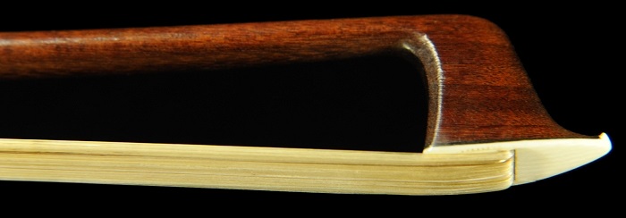 ���B�l���� �| �o�C�I���� �t�����`