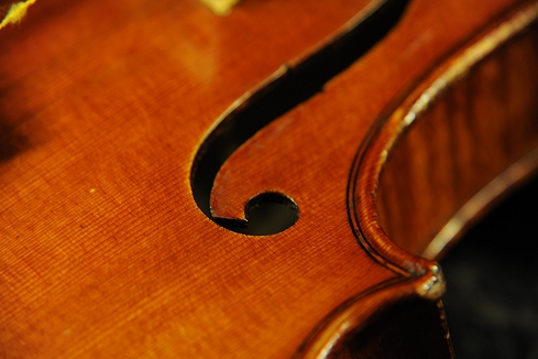 �o�C�I���� �r�W���b�L MAGICO �C�^���A