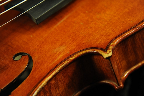 Bisiach Giacomo & Leandro Violin �}�W�R �C�^���A