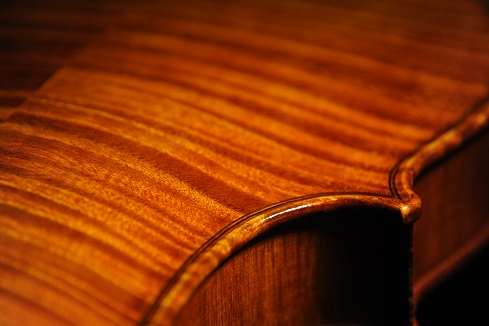 Bisiach Giacomo & Leandro Violin �}�W�R �C�^���A