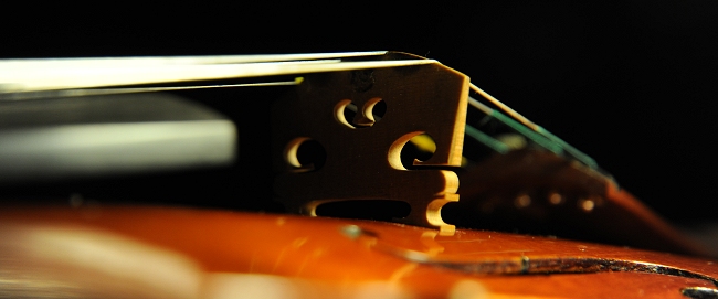 Bisiach Giacomo & Leandro Violin �}�W�R �C�^���A