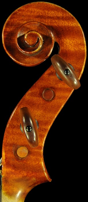 �o�C�I���� �r�W���b�L MAGICO �C�^���A