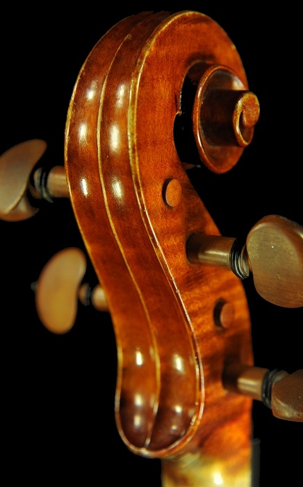 �o�C�I���� �r�W���b�L MAGICO �C�^���A